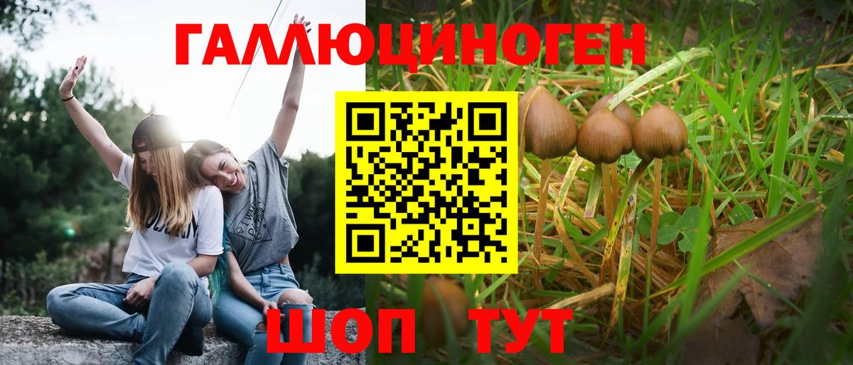 Бор  Галлюциногенные грибы Psilocybe  Вход с VPN 
