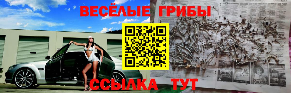 Псилоцибиновые грибы GOLDEN TEACHER Бор